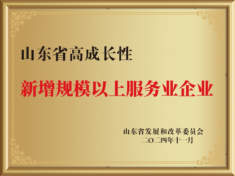 20241216山东省高成长性服务企业
